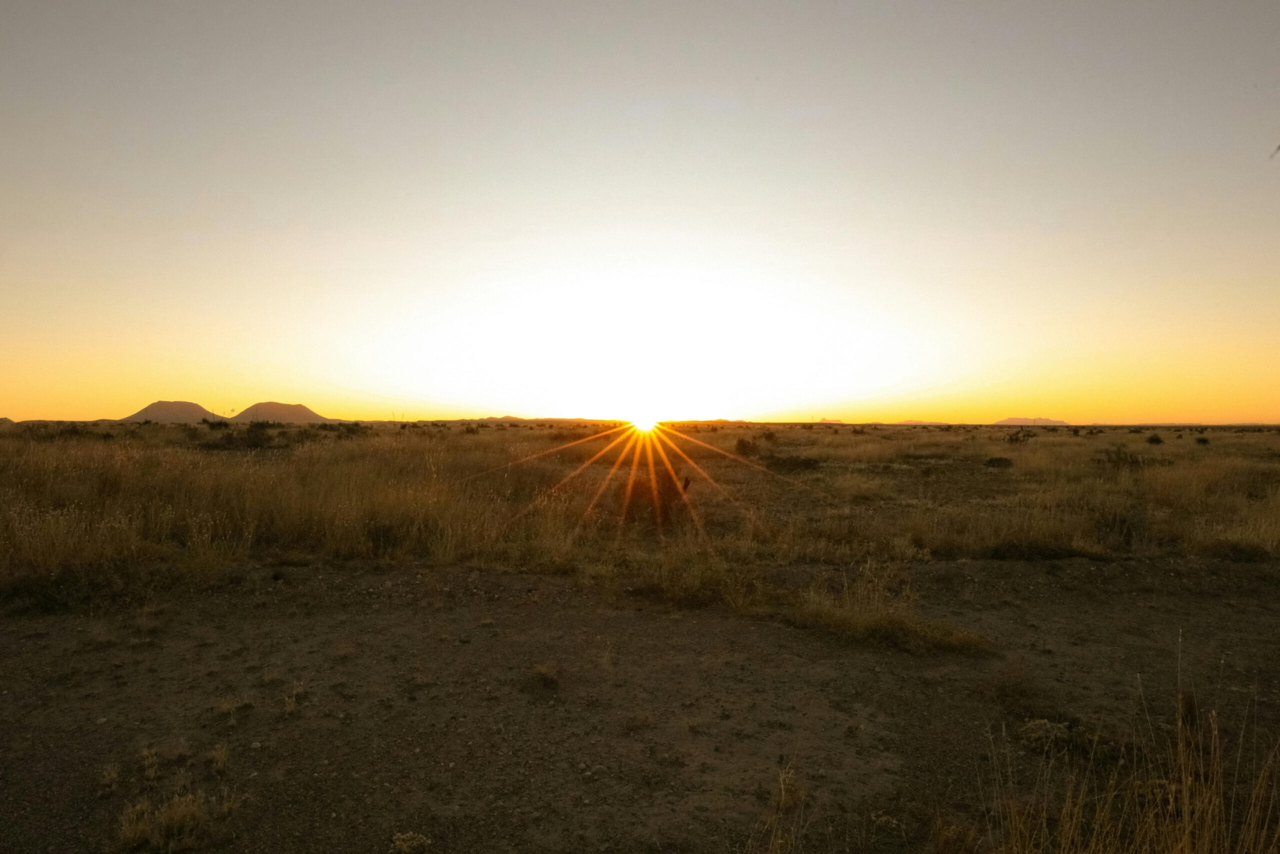 Red Oak Office Copiers